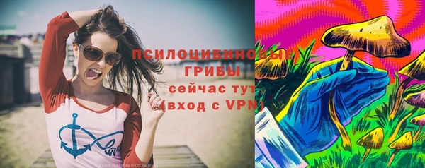 стафф Пересвет