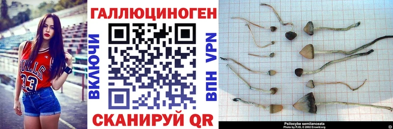 Псилоцибиновые грибы Cubensis  Карталы 